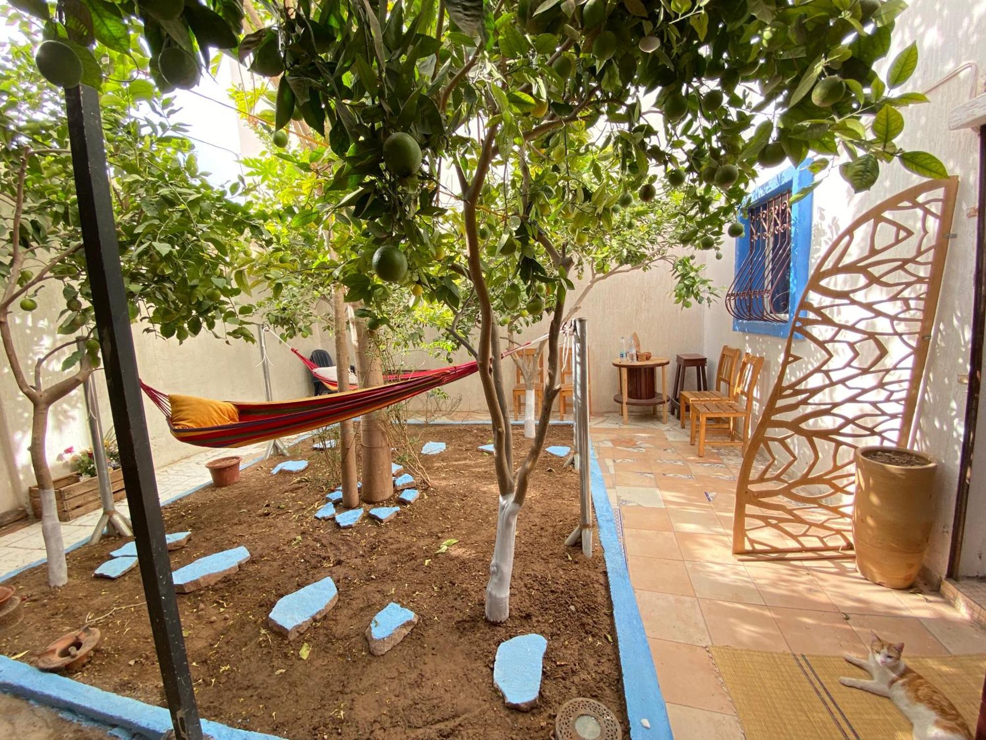 Red Carpet Surf Camp Sea, Mountain & Garden Escape Hotel Tamraght ภายนอก รูปภาพ